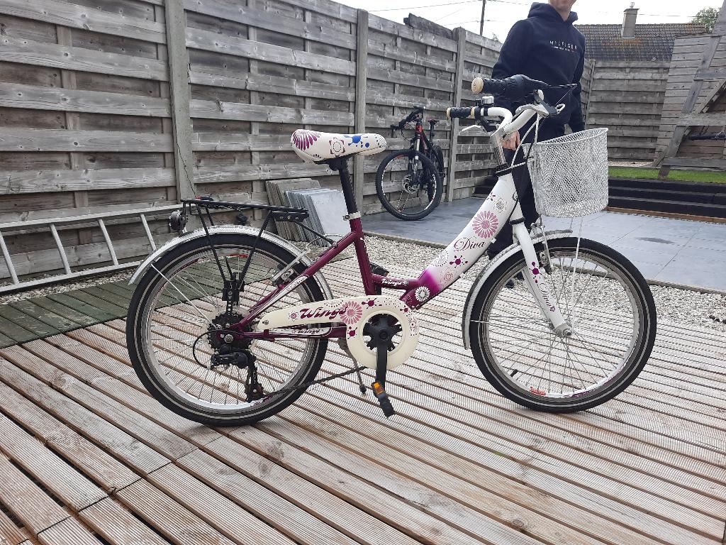 Meisjes Fiets, Fietsen en Brommers, Gebruikt, Velgrem, Minder dan 47 cm, Ophalen
