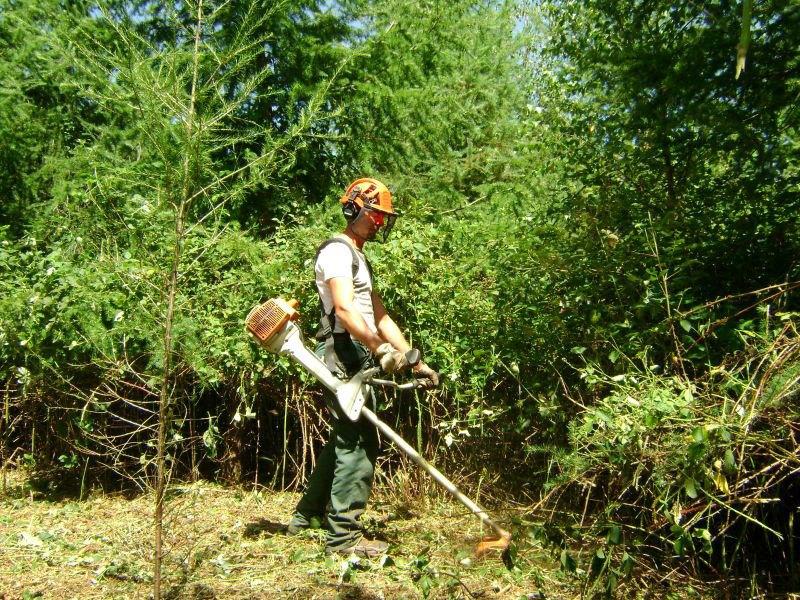 J H propose service débroussaillage et défrichage terrain, Offres d'emploi, Horaire variable, À partir de 5 ans, Autres formes