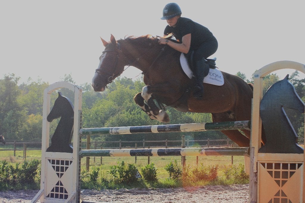 Lieve springmerrie (10Y), ideaal voor overgang pony/paard, Avec pedigree, M, 160 à 165 cm, Cheval de saut