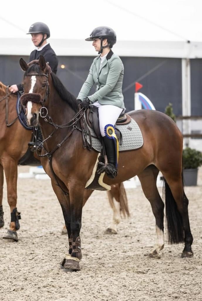 Super getalenteerde springmerrie te koop, Dieren en Toebehoren, Paarden, Merrie