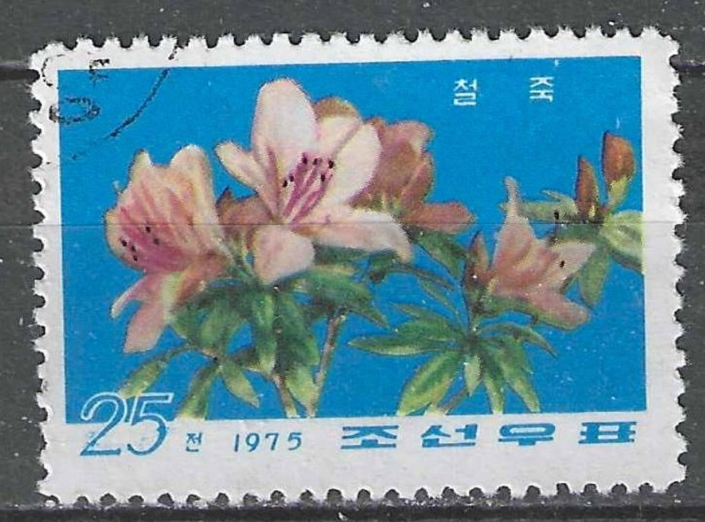 Noord-Korea 1975 - Yvert 1339 - Azalea - 25 ch. (ST), Verzenden, Gestempeld