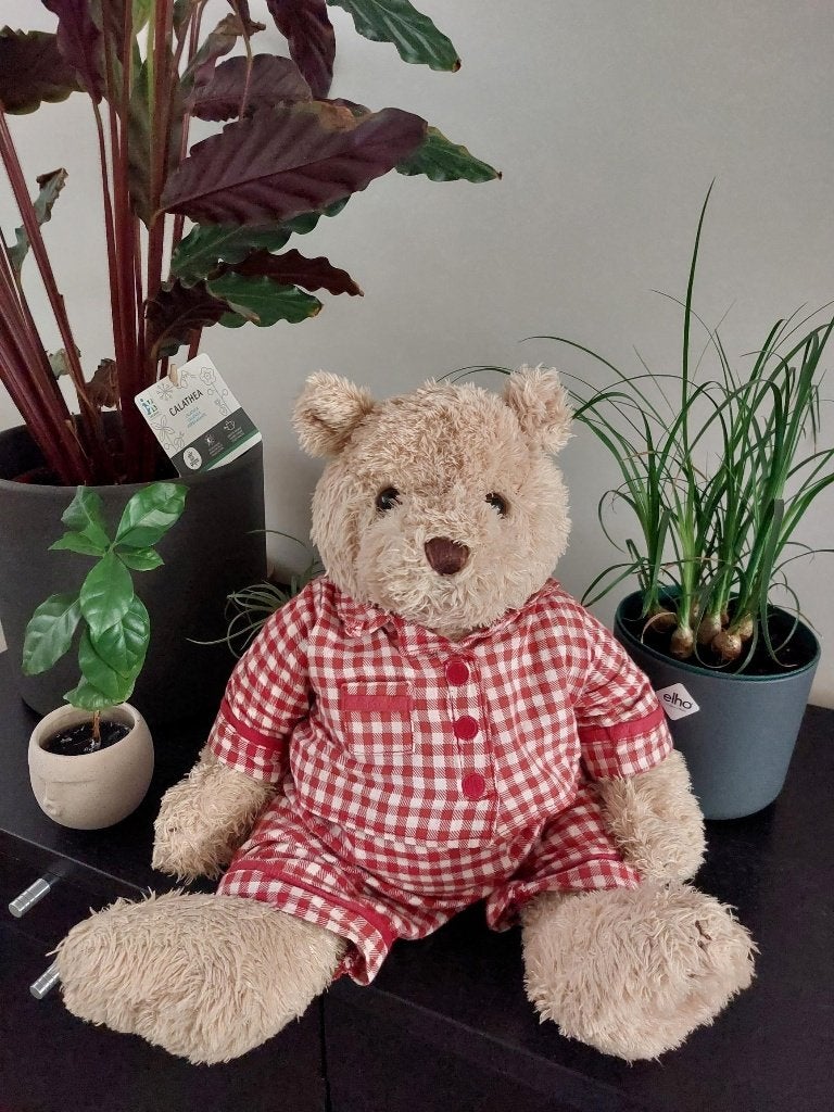 Happy Horse Wilbur teddybeer H35cm (2005), Enlèvement ou Envoi, Overige karakters, Happy Horse, Rouge