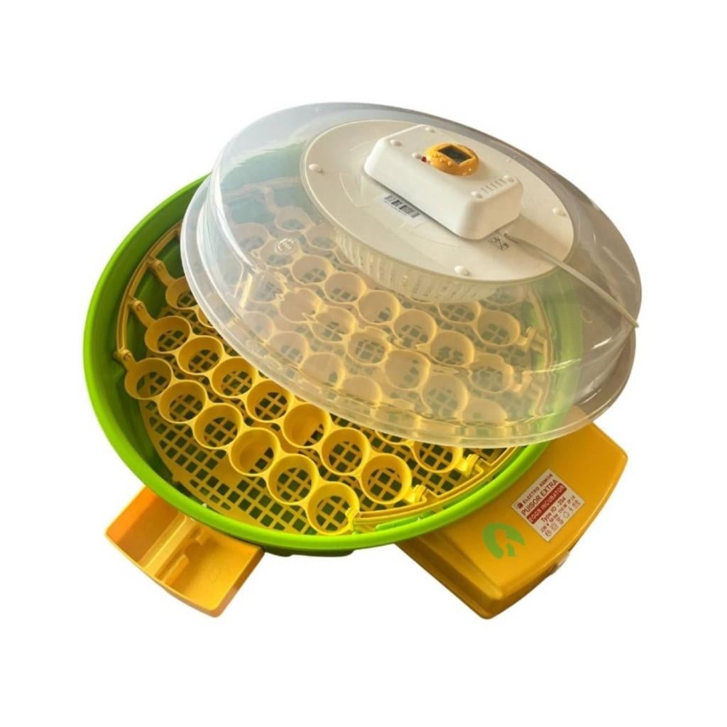 Incubateur Puisor X2 Extra Expert + œufs à incuber GRATUITS, Animaux & Accessoires, Volatiles | Accessoires, Envoi, Neuf, Couveuse