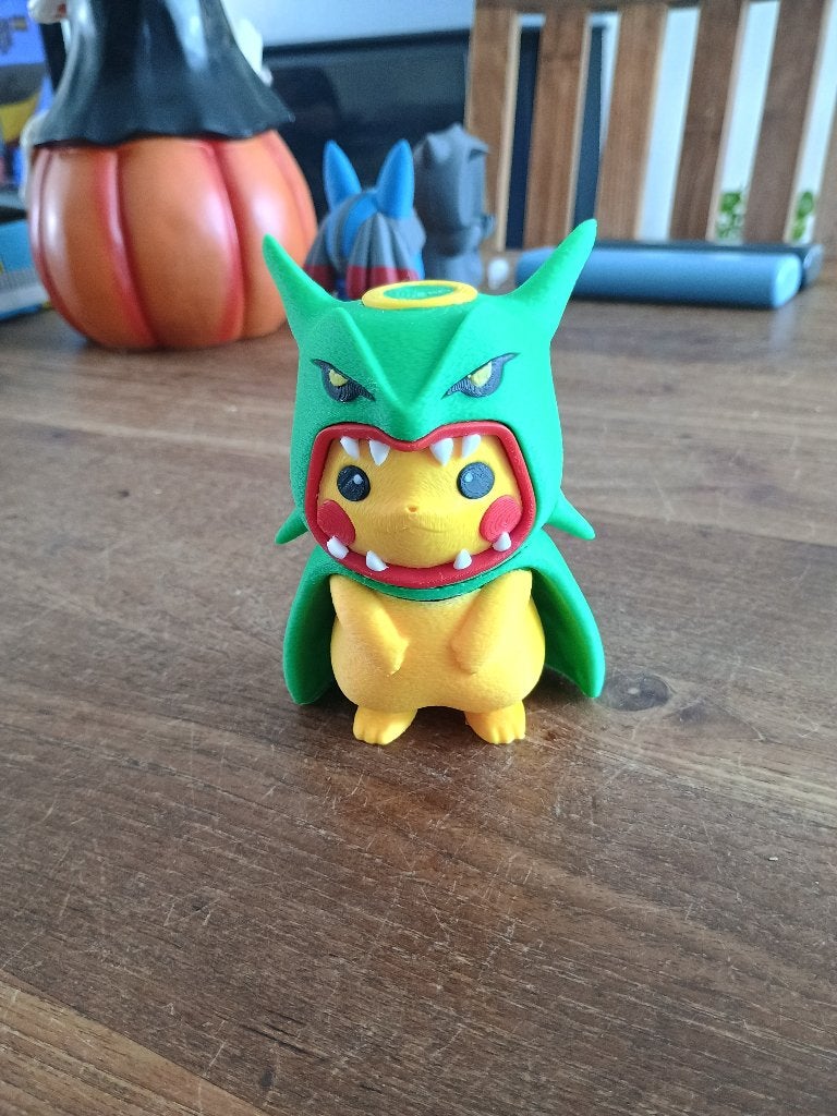 Rayquaza poncho pikachu, Enlèvement ou Envoi, Neuf, Autres types