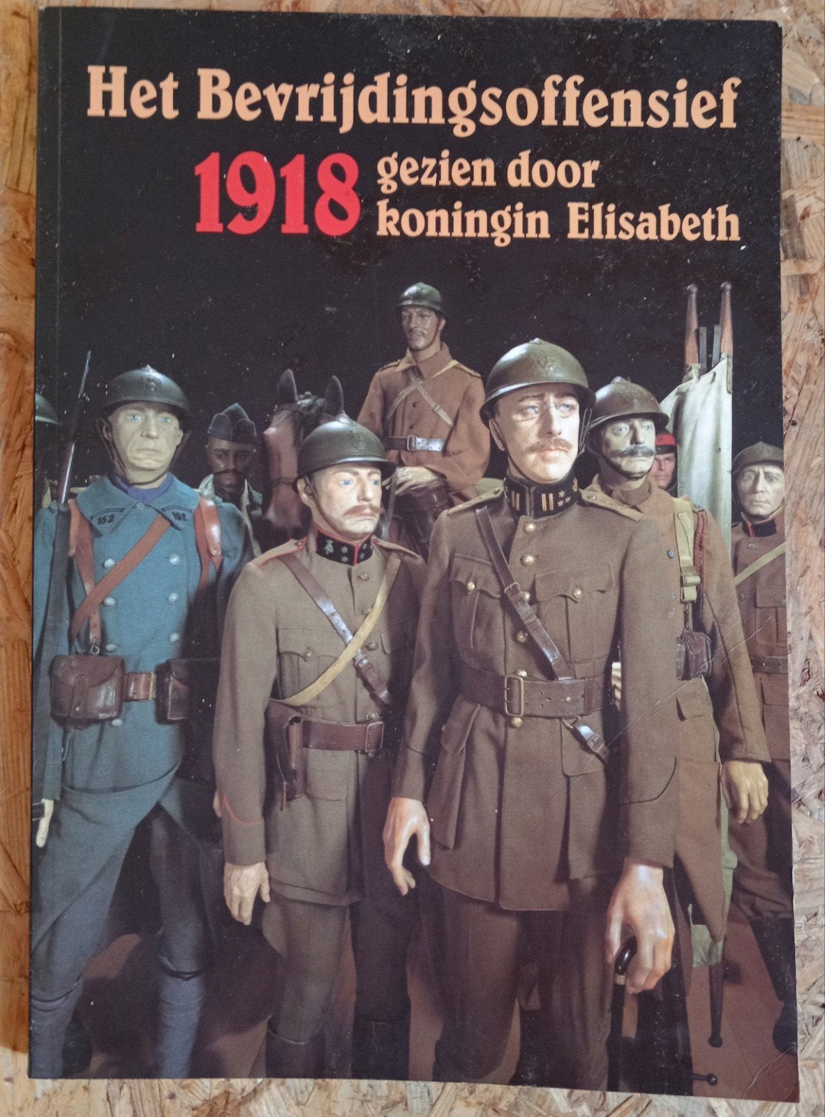 Boek: Het Bevrijdingsoffensief 1918, koningin Elisabeth 1998, Enlèvement ou Envoi, Comme neuf, Europe, Aleks Deseyne