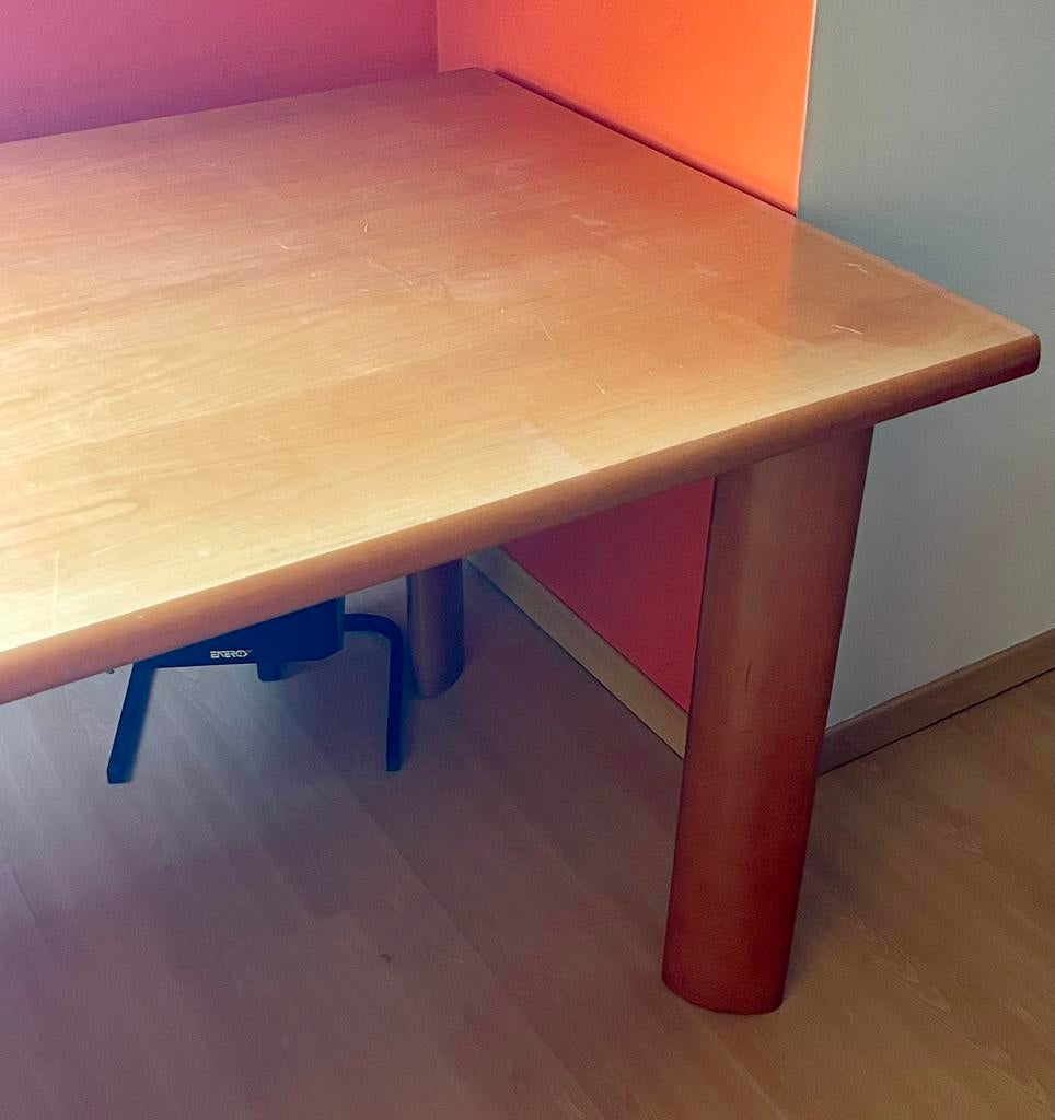 Eettafel rechthoekig - moet dringend weg wegens verhuizing, Huis en Inrichting, Ophalen, Gebruikt, 200 cm of meer, 50 tot 100 cm