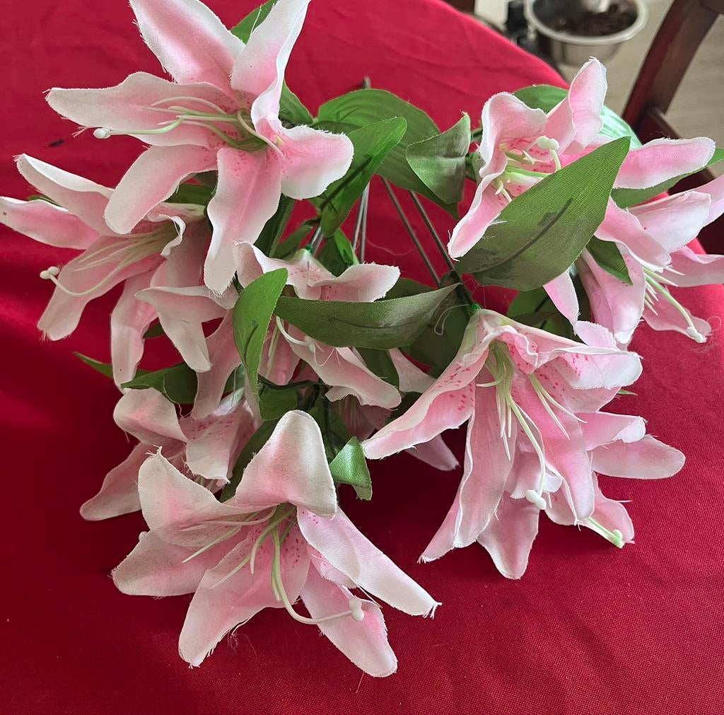Lys artificiel, Enlèvement, Comme neuf