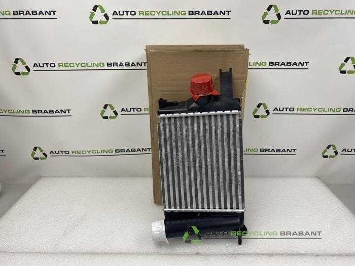 Intercooler van een Renault Clio, Auto-onderdelen, Gebruikt, -, -, Ophalen of Verzenden