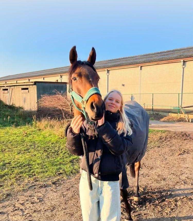 Lieve D-pony (Vol arabier), Merrie, Met stamboom, Niet van toepassing, 7 tot 10 jaar