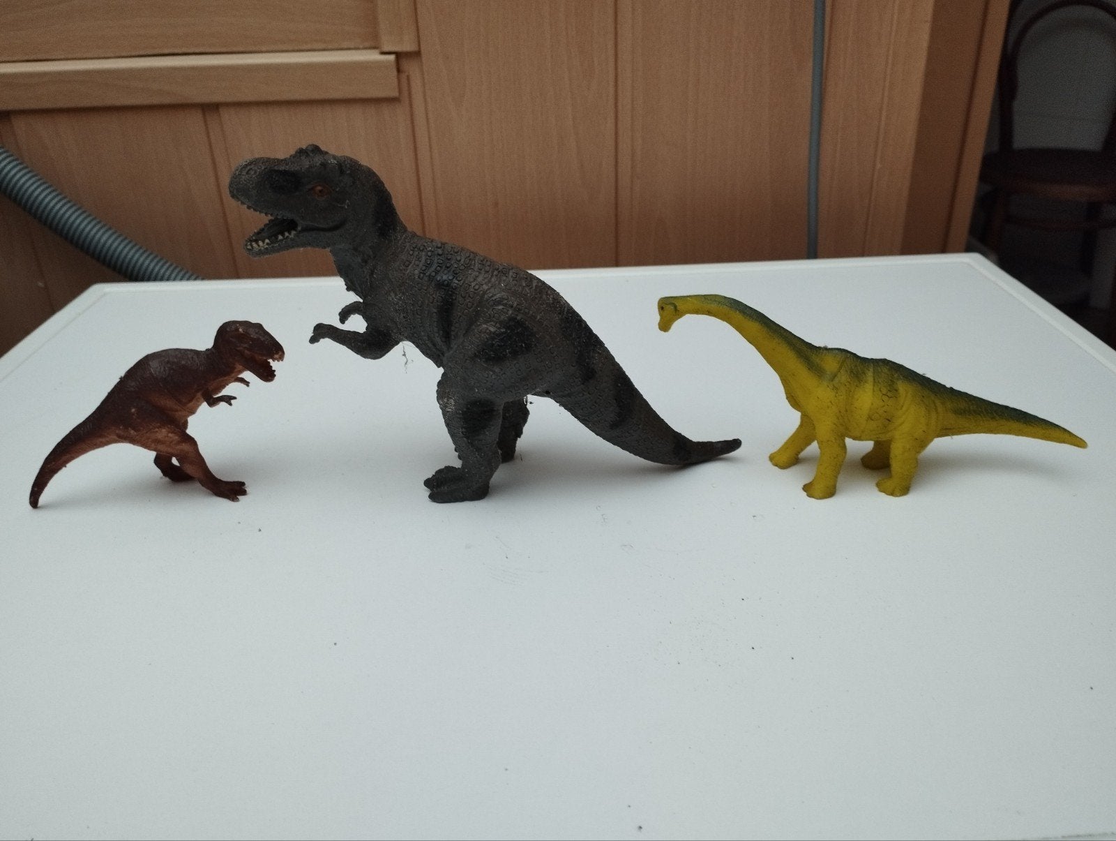 dinosaurussen voor verzamelaars van dinosaurussen of dieren, Verzamelen, Ophalen