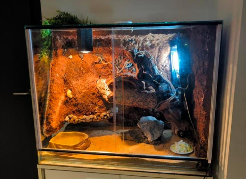 Terrarium met accessoires + kast, Ophalen