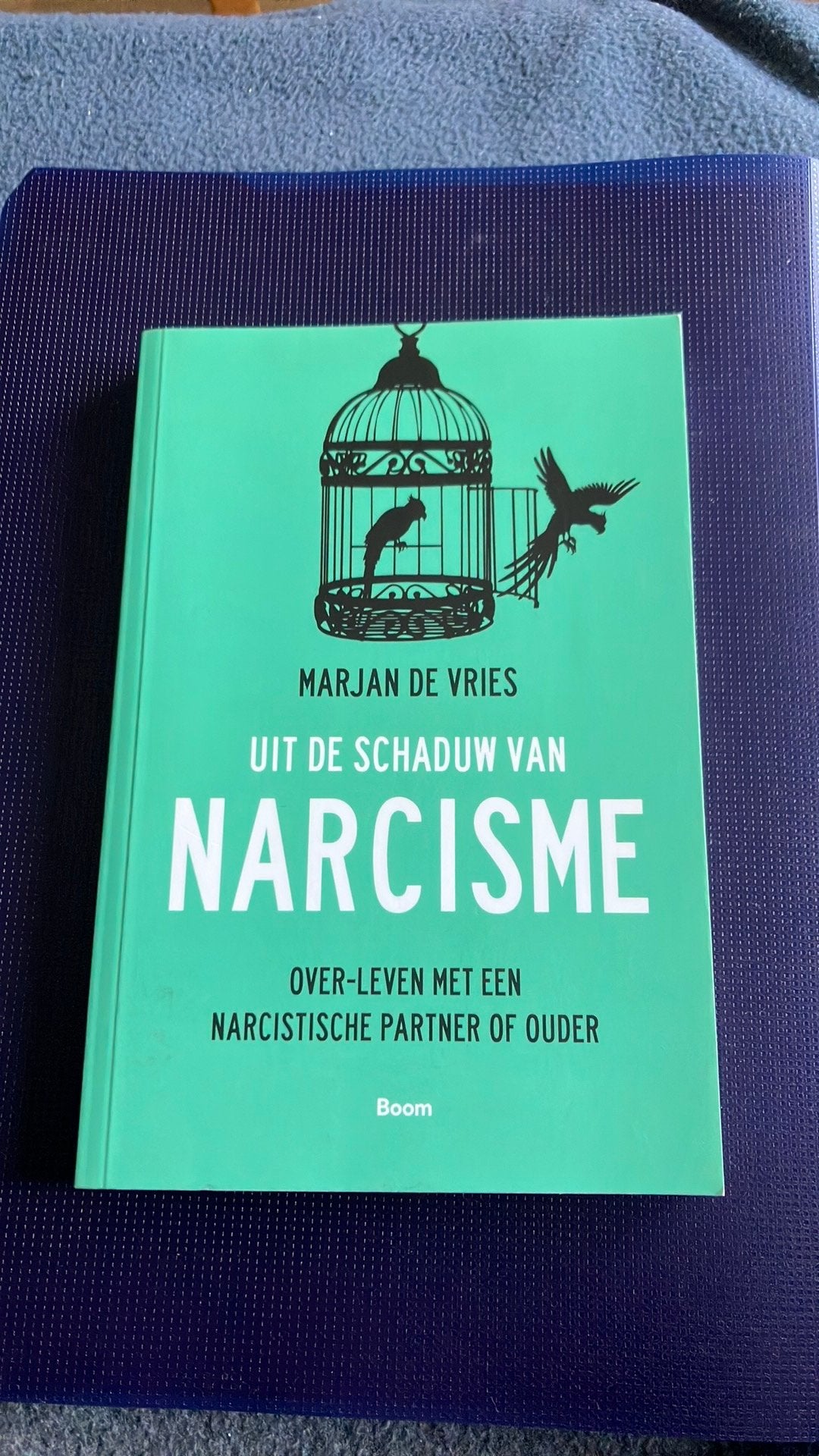 Marjan de Vries - Uit de schaduw van narcisme, Enlèvement, Marjan de Vries