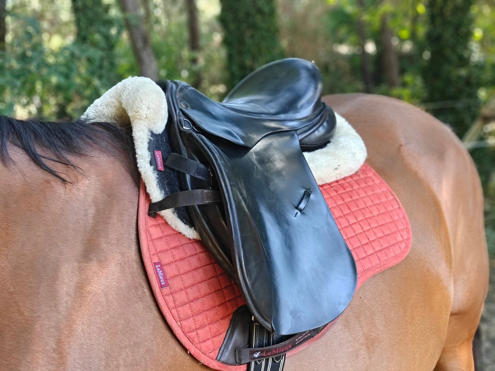 Engels veelzijdigheid zadel, Animaux & Accessoires, Chevaux & Poneys | Selles, Enlèvement ou Envoi, Polyvalence, Assise souple