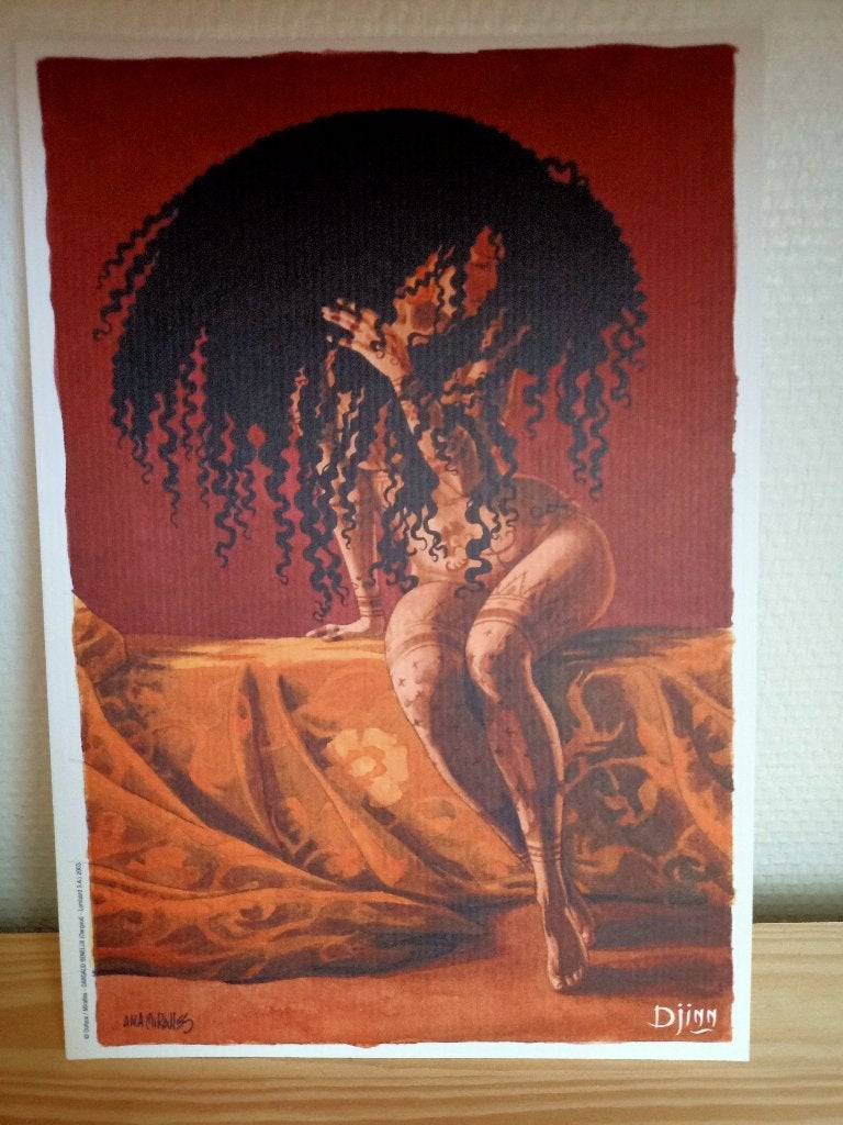 Miralles stripboeken en boekenplaten, Meerdere stripboeken, Ophalen, Zo goed als nieuw, Dufaux / Miralles