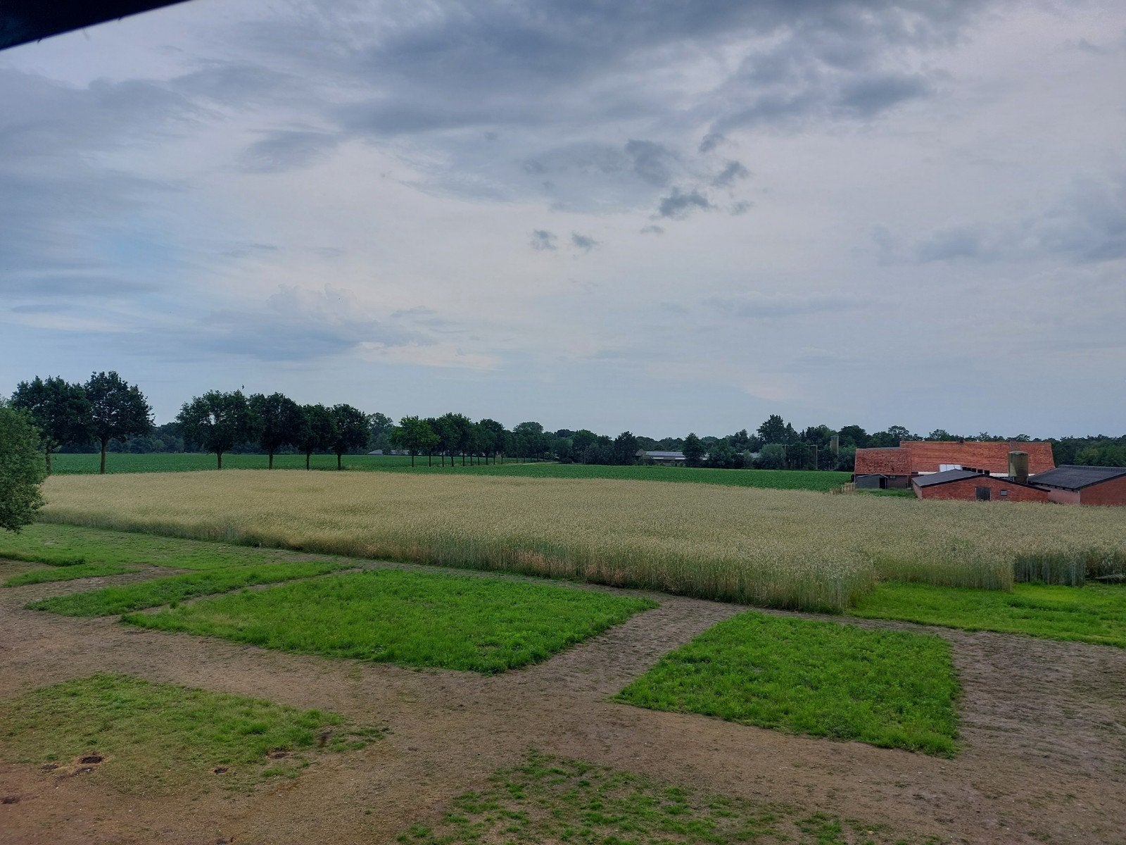 Gerst 0,6 hectare, Dieren en Toebehoren