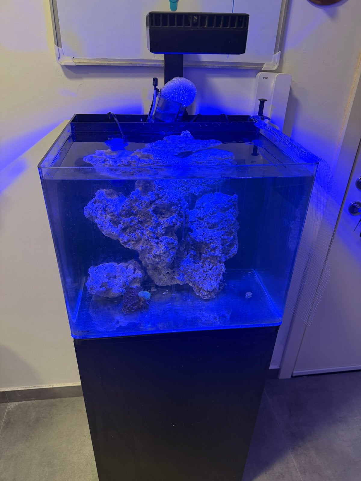 Aquarium bleue marin, Animaux & Accessoires, Enlèvement ou Envoi, Comme neuf