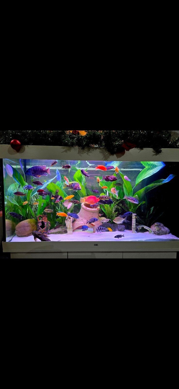 aquarium 350 litre, Enlèvement, Pompe