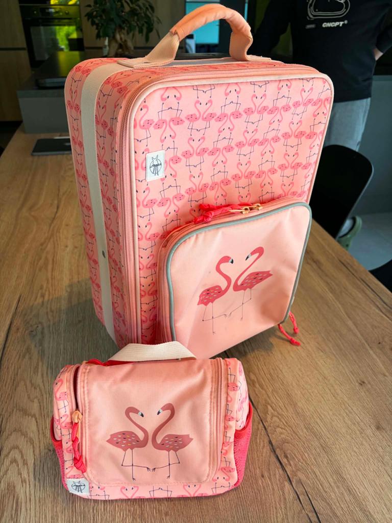 Reistrolley en toilettasje voor kleuters, Handtassen en Accessoires, Koffers, Ophalen, Wieltjes, Gebruikt, Minder dan 50 cm