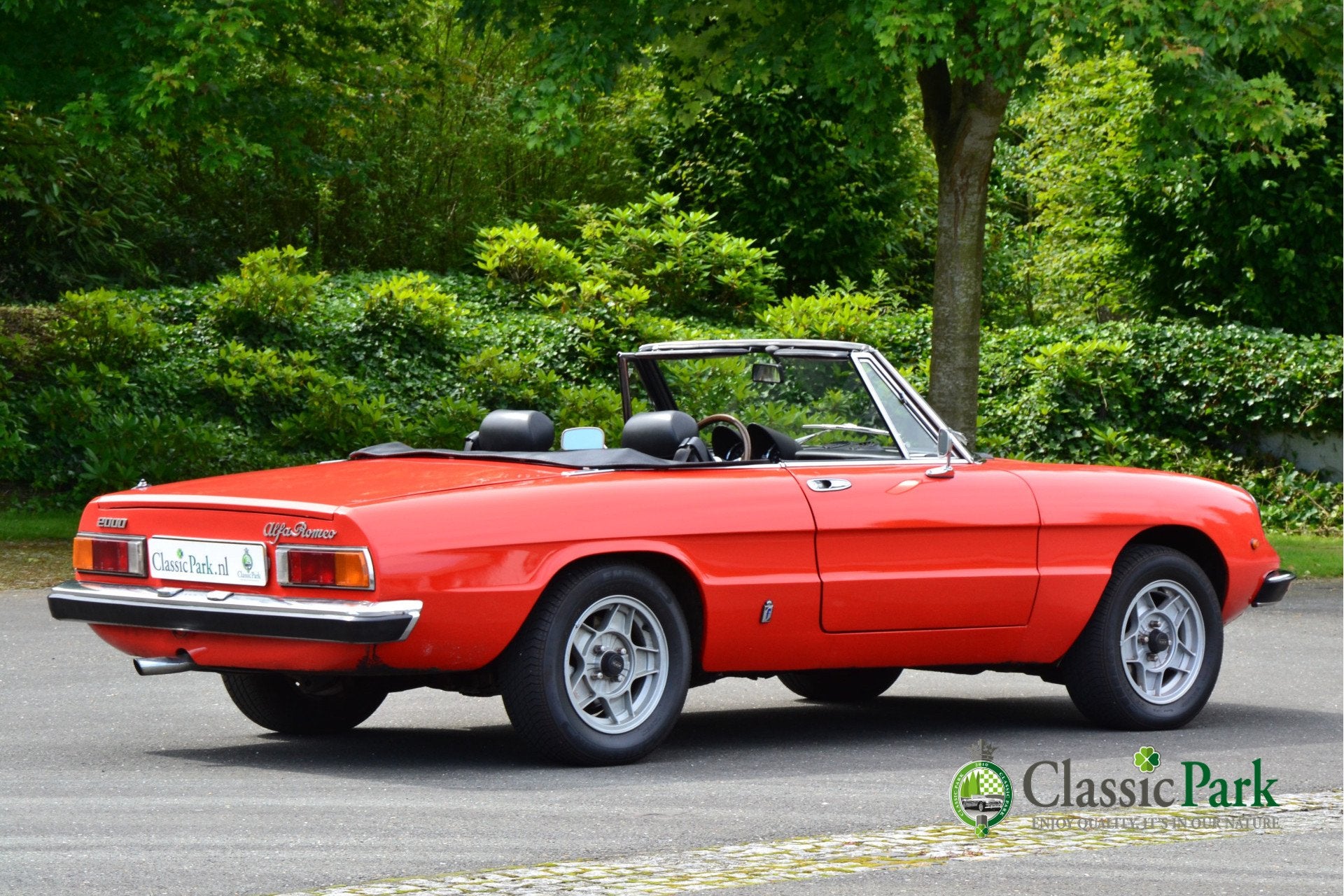Alfa Romeo Spider 2.0 Veloce (bj 1981), foto 5