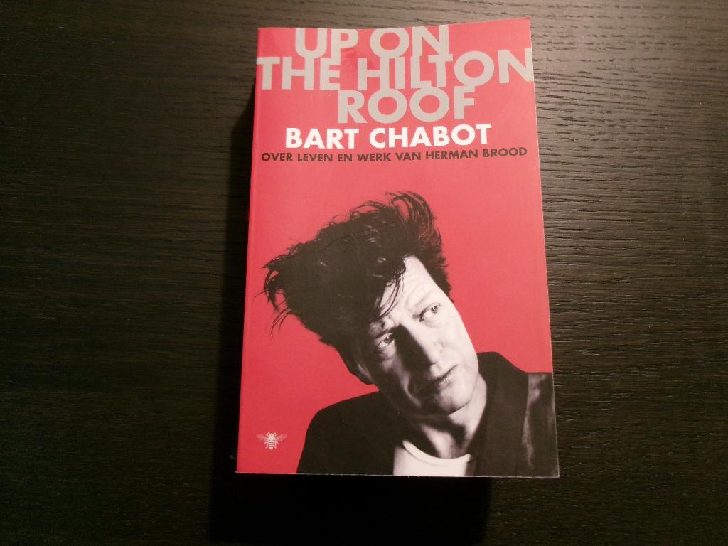 Up on the Hilton roof  -Bart Chabot-, Ophalen of Verzenden