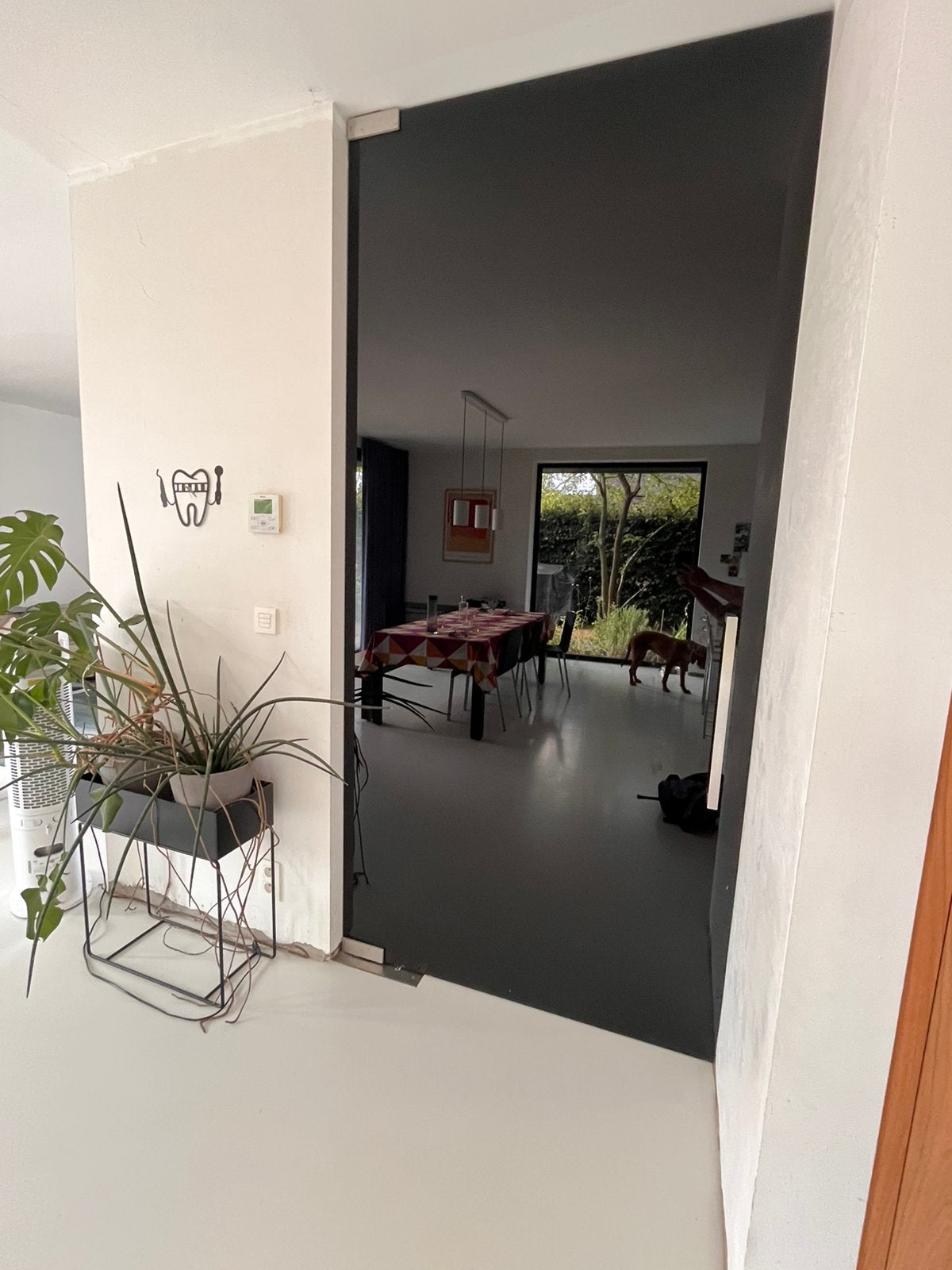 Porte à picot en verre trempé gris foncé, Bricolage & Construction, Verre, Enlèvement, 120 cm ou plus, 215 cm ou plus