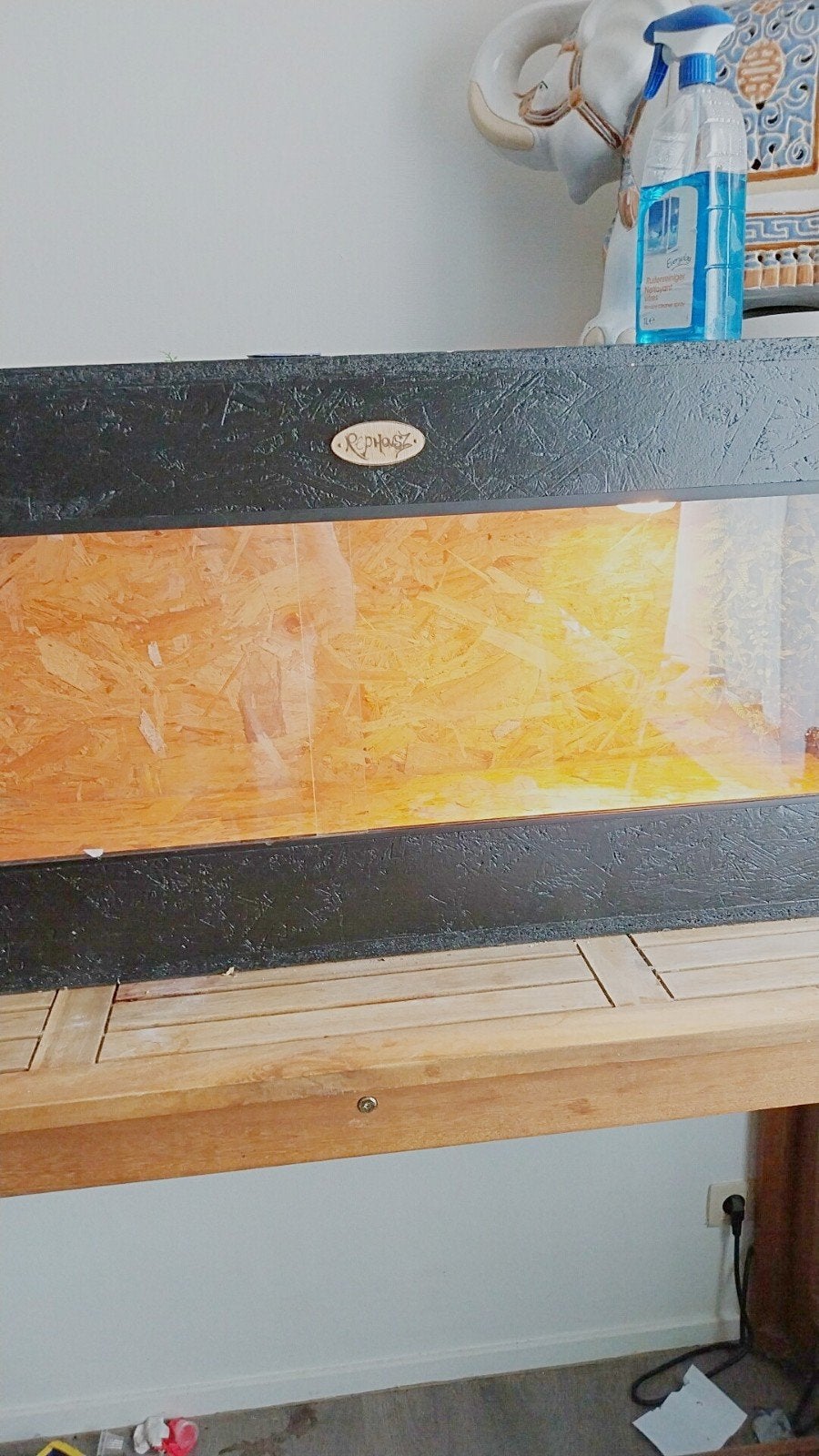 Terrarium osb, Dieren en Toebehoren, Ophalen