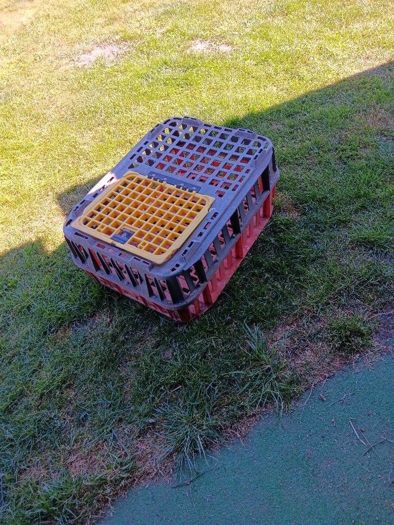 dieren en benodigheden, Overige soorten