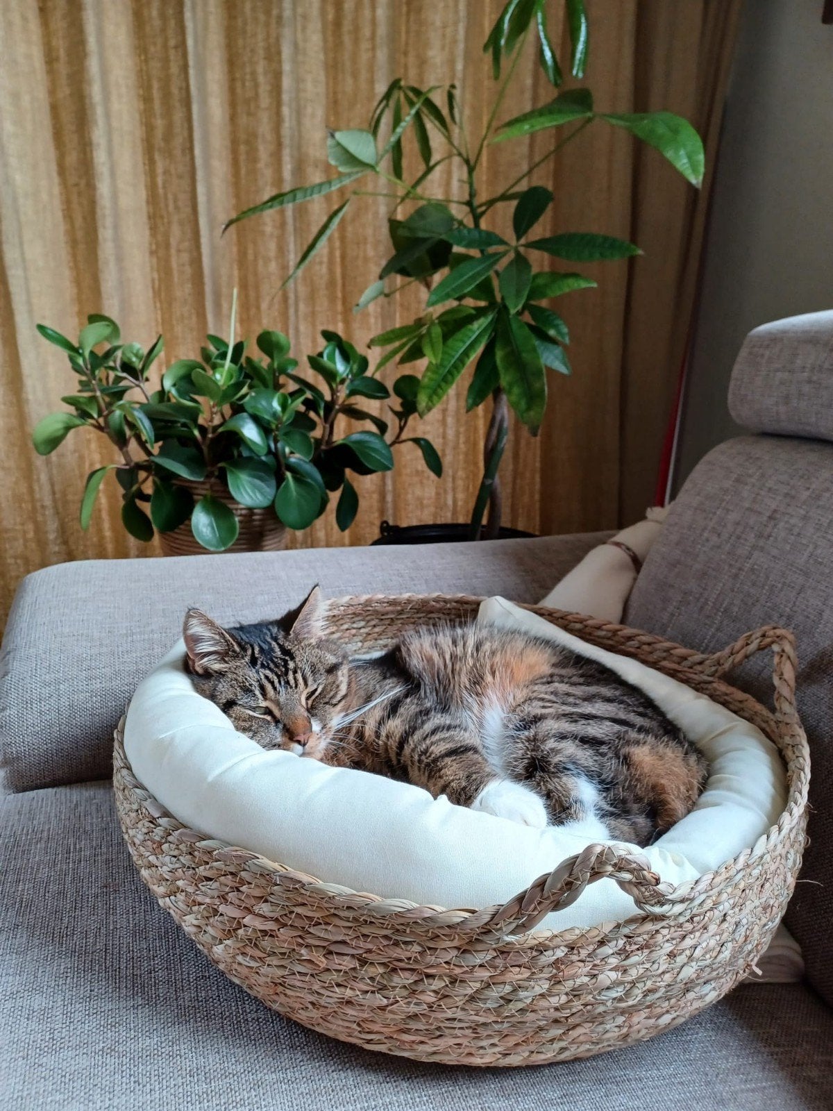 Kattenmand gevlochten met oortjes – nieuw in verpakking, Ophalen, Nieuw, Riet