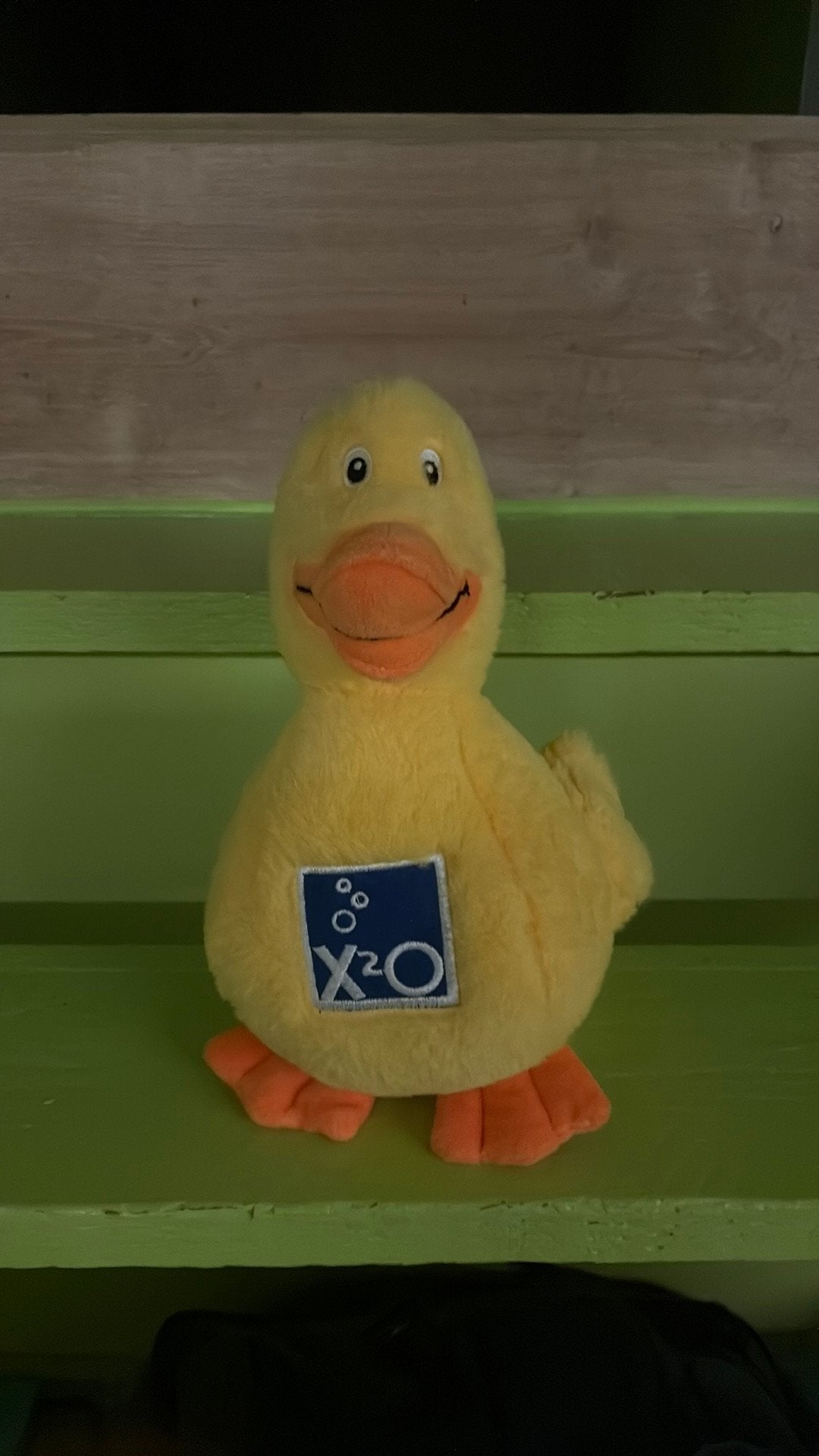 X2O eend te koop, Ophalen of Verzenden, Zo goed als nieuw