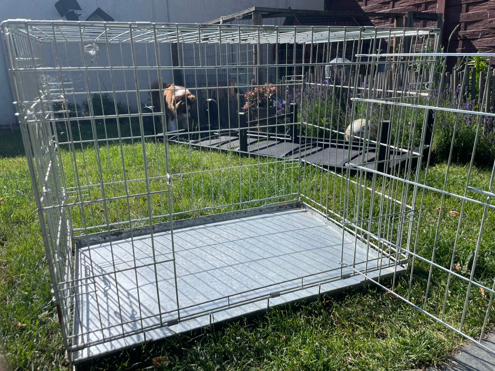 Bench voor hond, Ophalen, Gebruikt, 65 tot 100 cm, Hondenhok