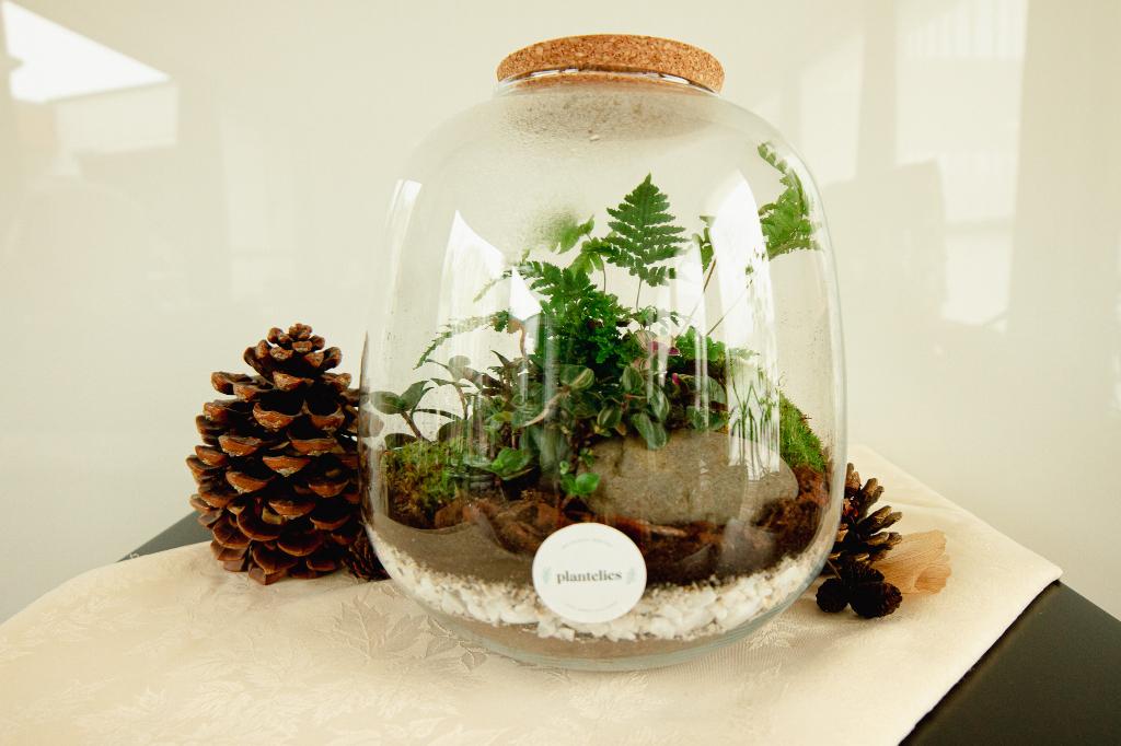 Plantelies – terrarium workshop stock + merk over te nemen, Zakelijke goederen, Stock en Retail | Franchising, Wederverkoop en Distributie