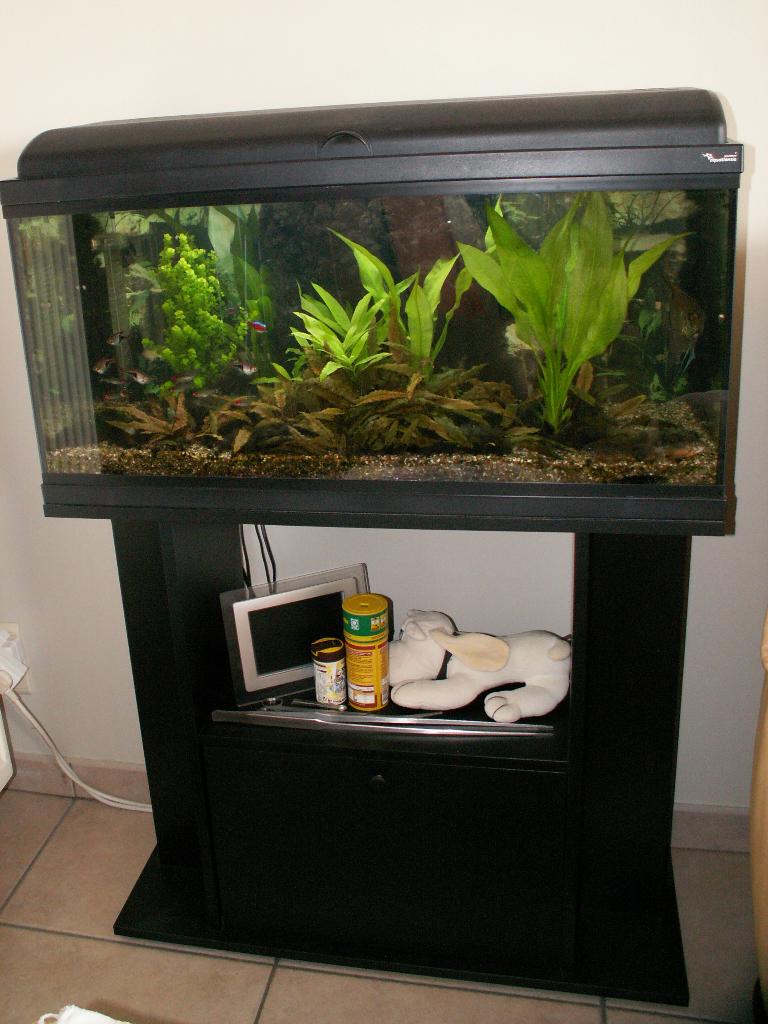 aquarium, Aquatlantis, Aquarium vide, Enlèvement, Utilisé