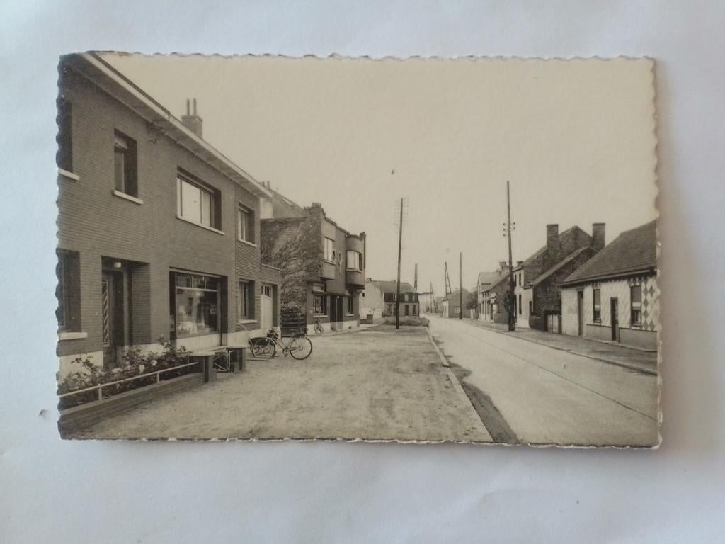 HAACHT GERZEIRENSTRAAT, Verzamelen, Verzenden, 1940 tot 1960, Ongelopen, Vlaams-Brabant