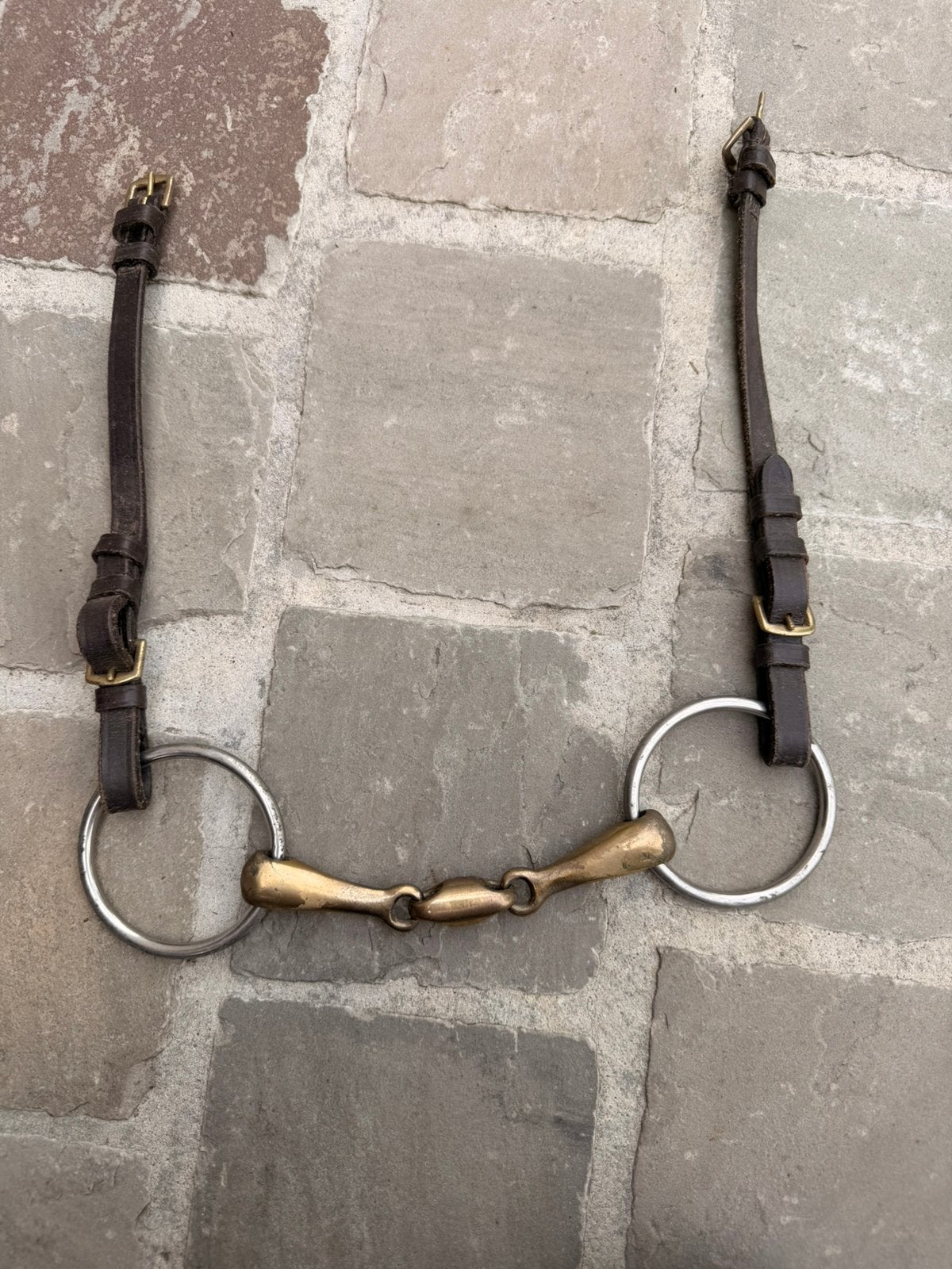 Bit + riemen, Animaux & Accessoires, Chevaux & Poneys | Brides & Harnachement, Enlèvement, Comme neuf