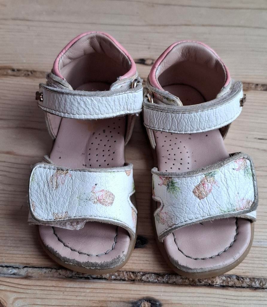 Sandalen 20, Enlèvement