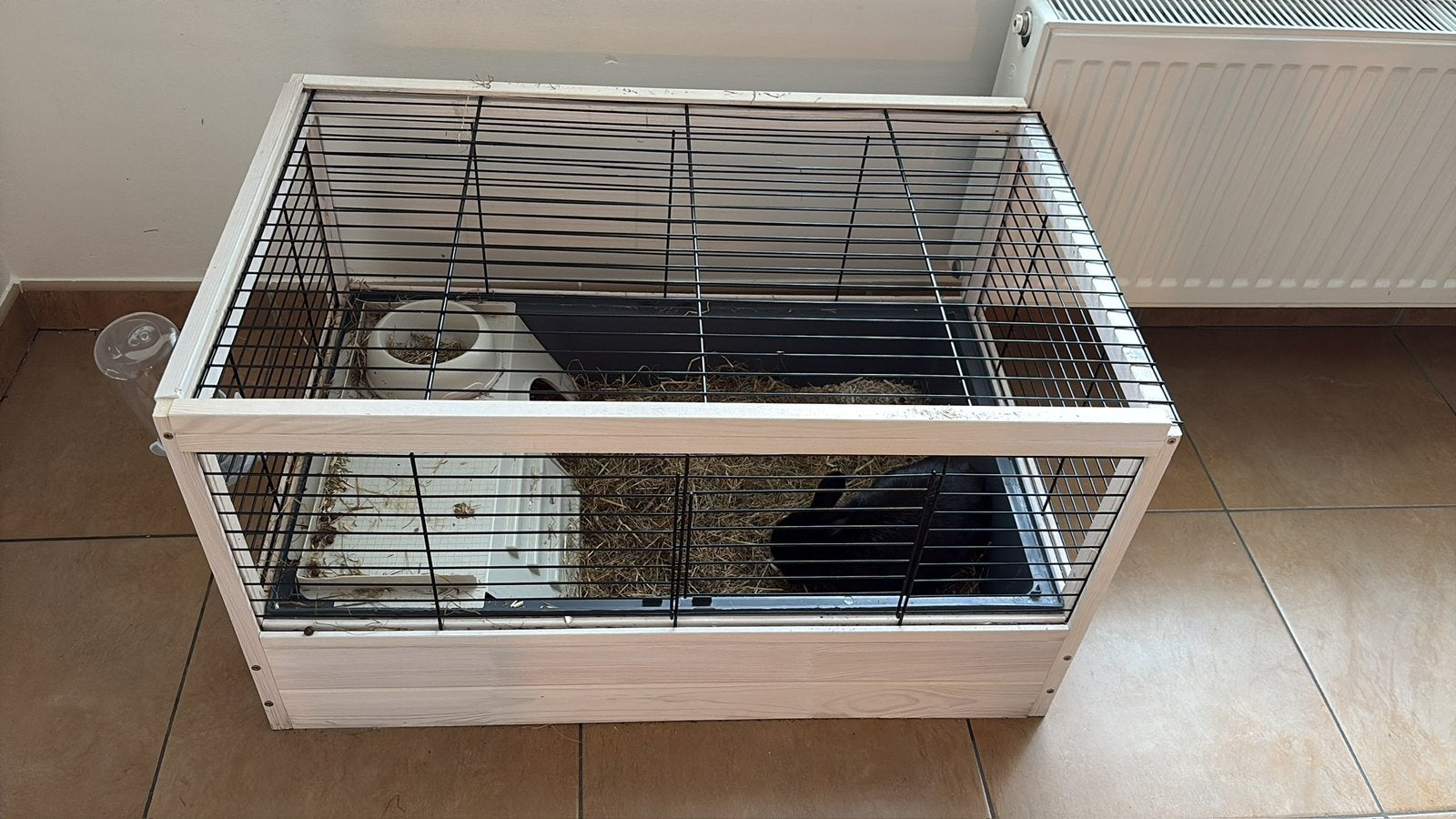 Kooi Cavia / konijn, Dieren en Toebehoren, Ophalen, Kooi, Gebruikt, Hamster