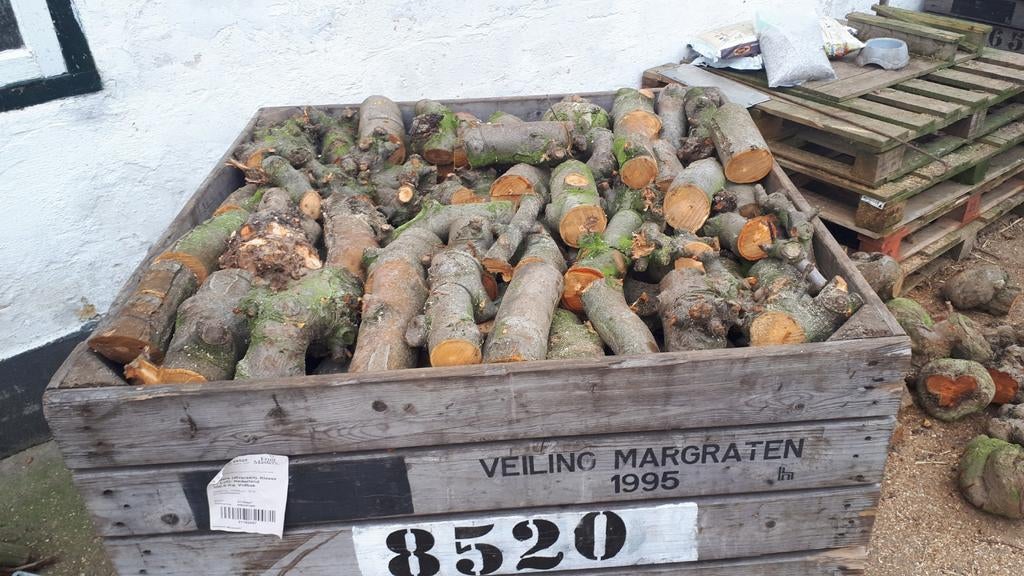 Te koop haardhout van appelbomen., Tuin en Terras, Brandhout, Ophalen, Stammen