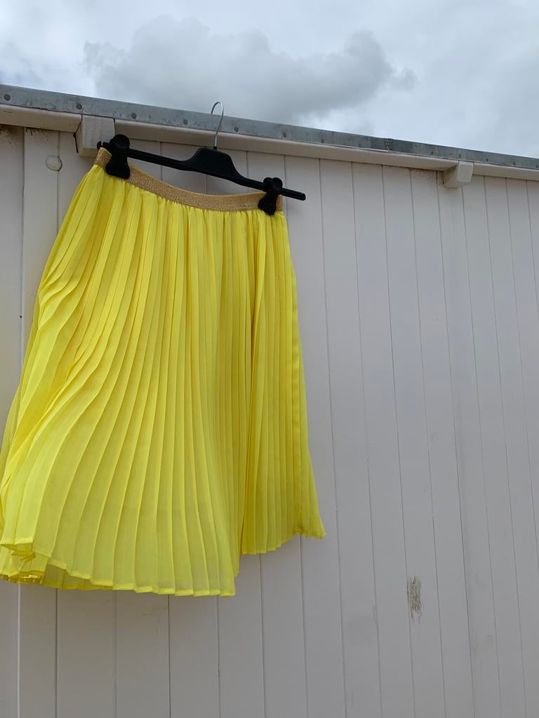 Nieuwe rok CKS - maat 38, Kleding | Dames, Rokken, Ophalen of Verzenden, Maat 38/40 (M)