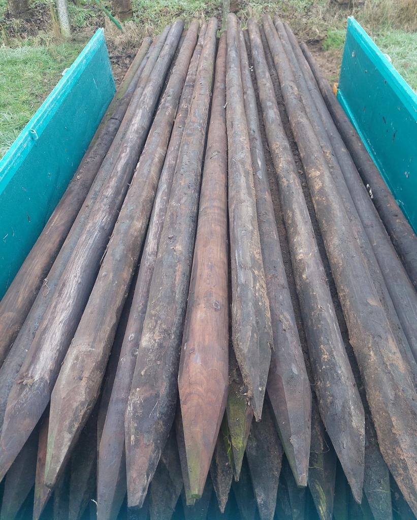 houten palen, Tuin en Terras, Ophalen, Nieuw, 250 cm of meer, Palen