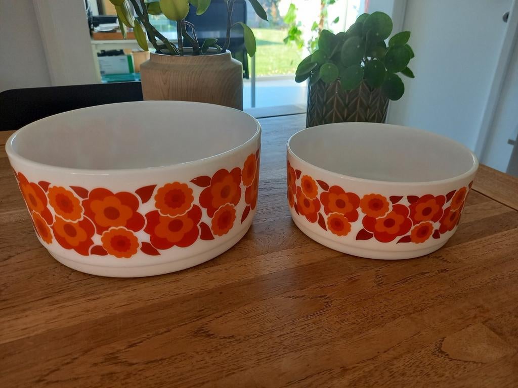 Arcopal lotus ronde grote en kleine kom, Ophalen of Verzenden