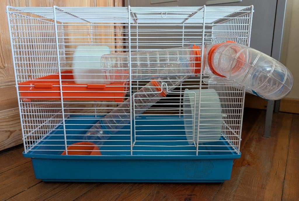 Cage hamster avec accessoires, Animaux & Accessoires, Rongeurs & Lapins | Cages & Clapiers, Souris, Moins de 60 cm, Cage, Utilisé