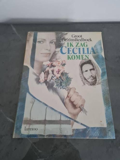 groot gezinsliedboek 'ik zag Cecilia komen', Ophalen of Verzenden
