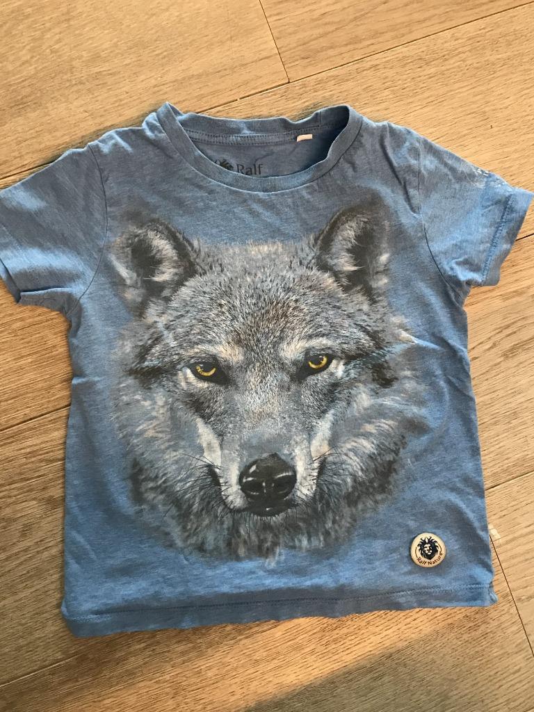 Shirt van Pairi Daiza maat 110-116, Enlèvement, Chemise ou À manches longues