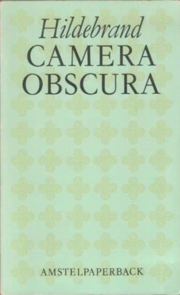 Camera Obscura met de verspreide stukken / Hildebrand, Ophalen of Verzenden, Gelezen