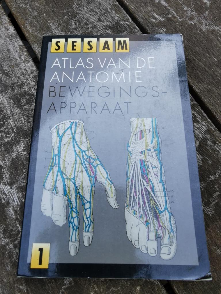 Sesam anatomische atlas 1 - bewegingsapparaat., Livres, Livres d'étude & Cours, Utilisé, Enseignement supérieur, Enlèvement ou Envoi