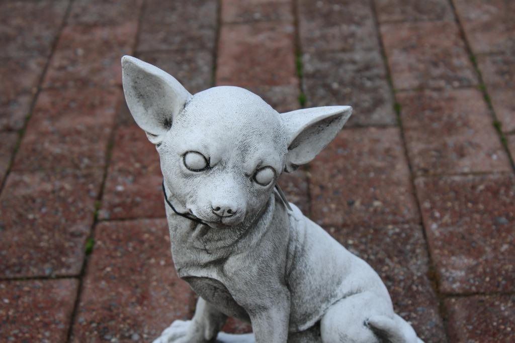 chien chihuahua en pierre assis ., Enlèvement, Neuf, Pierre, Animal