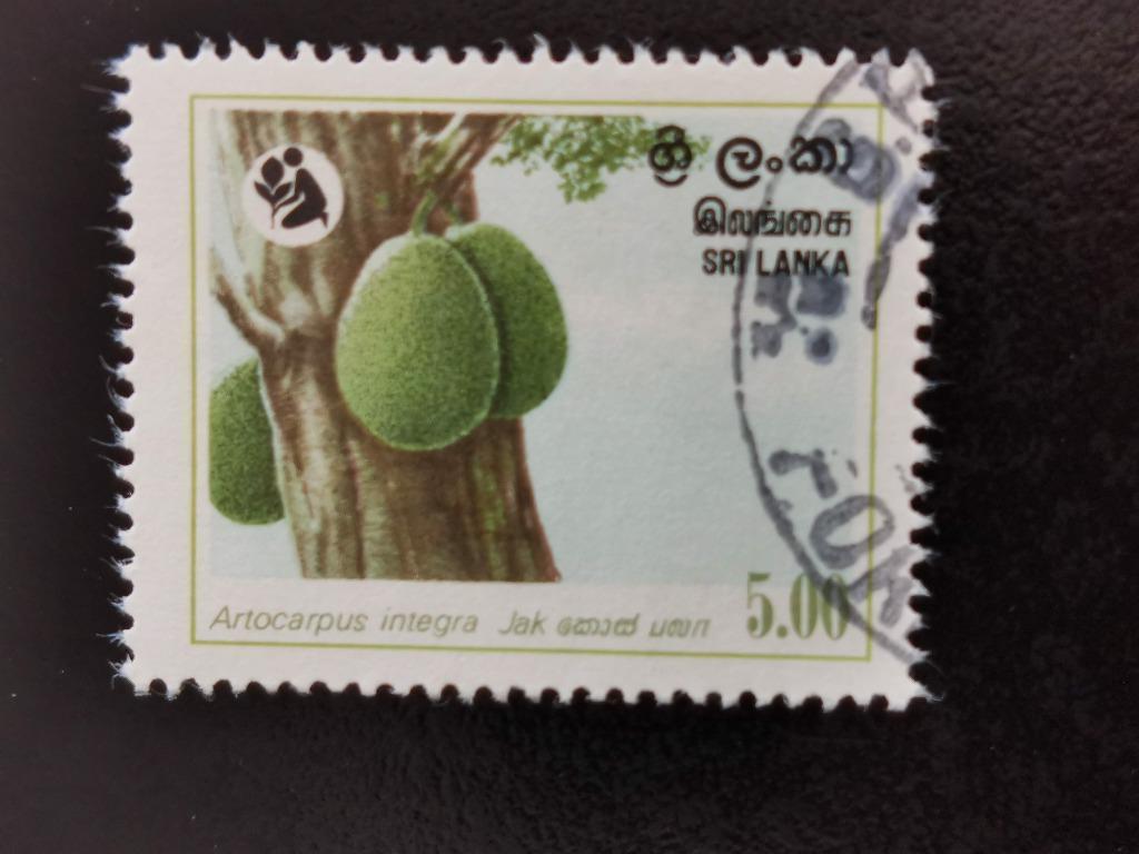 Sri Lanka 1981 - bosbeheer - bomen, flora, Ophalen of Verzenden, Gestempeld, Zuid-Azië