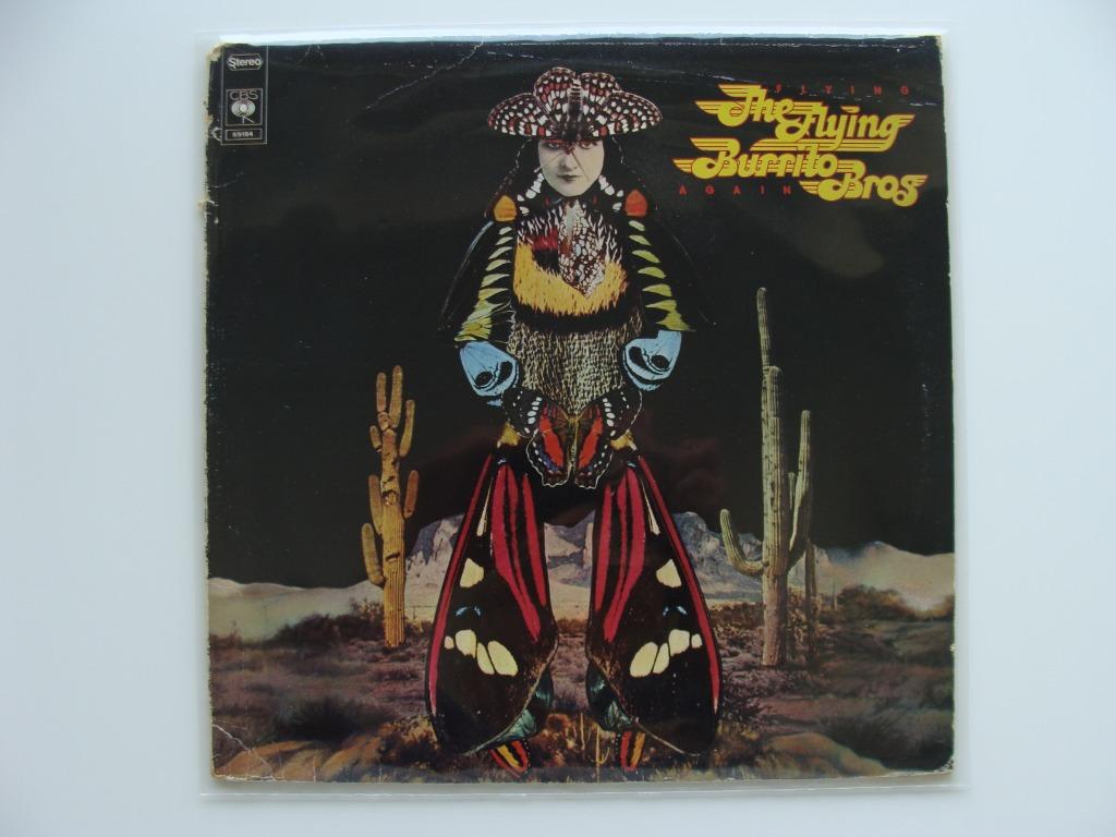 The Flying Burrito Bros – Flying Again (1975), Ophalen of Verzenden, 12 inch, Progressive