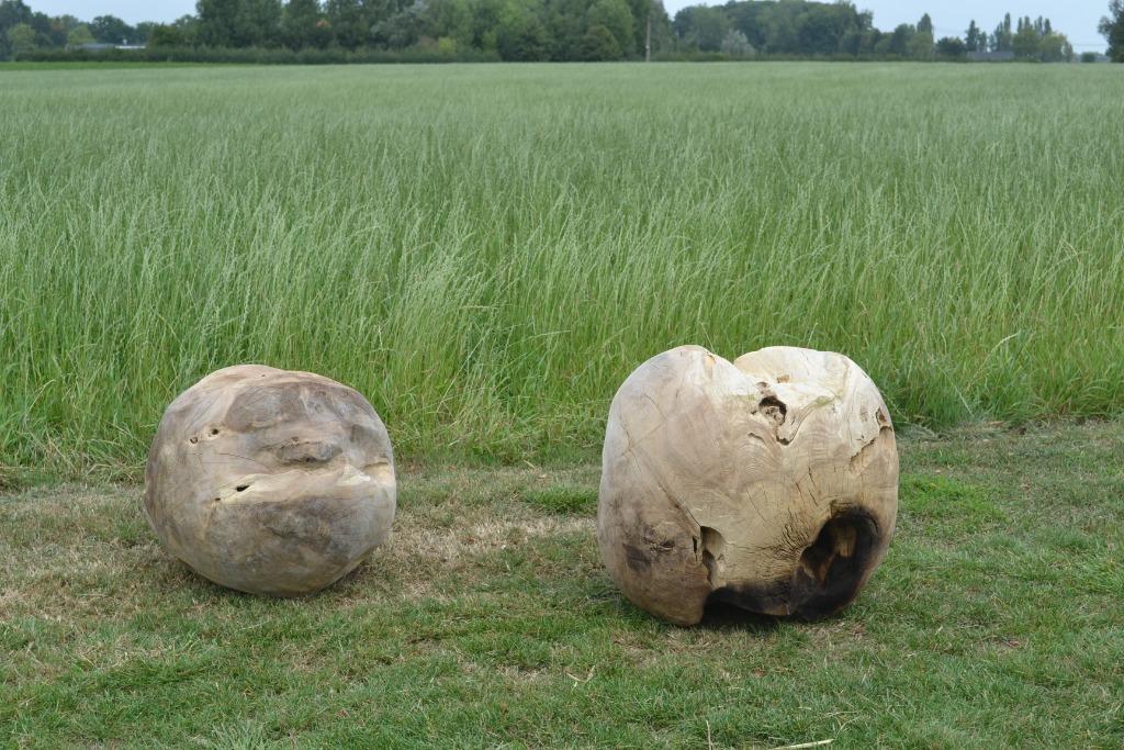 2 mooie zware bollen in teakhout, Ophalen
