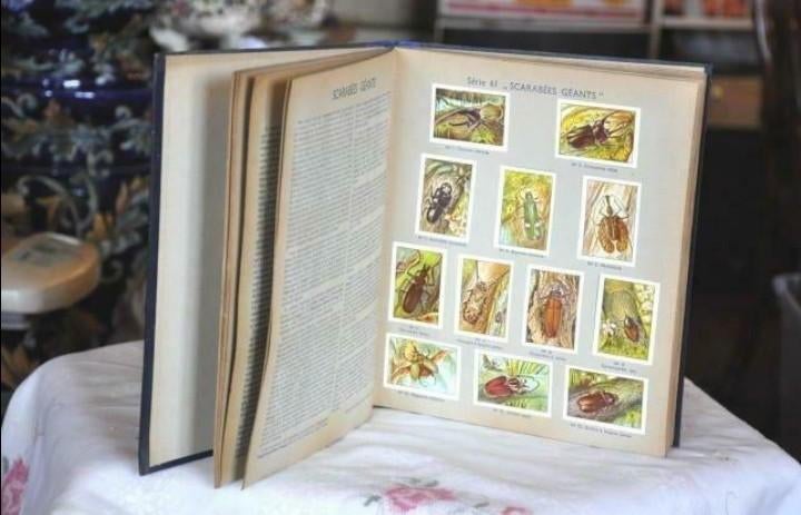 livre chromo nestlé les merveille du monde, Ophalen of Verzenden, Gelezen, Prentenboek